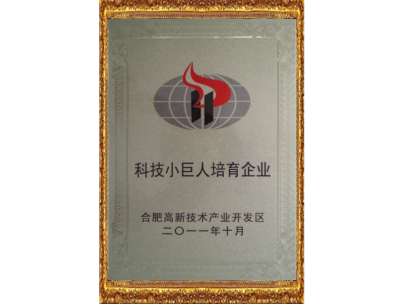 科技小巨人企業(yè)