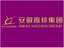 安徽霞珍集團(tuán)